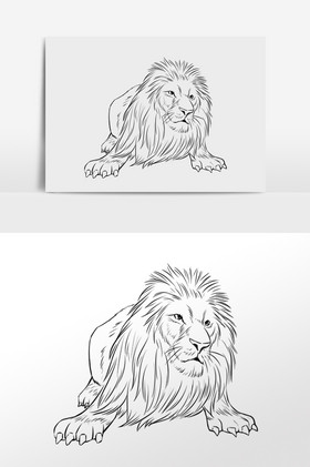 线描线稿野生动物狮子插画