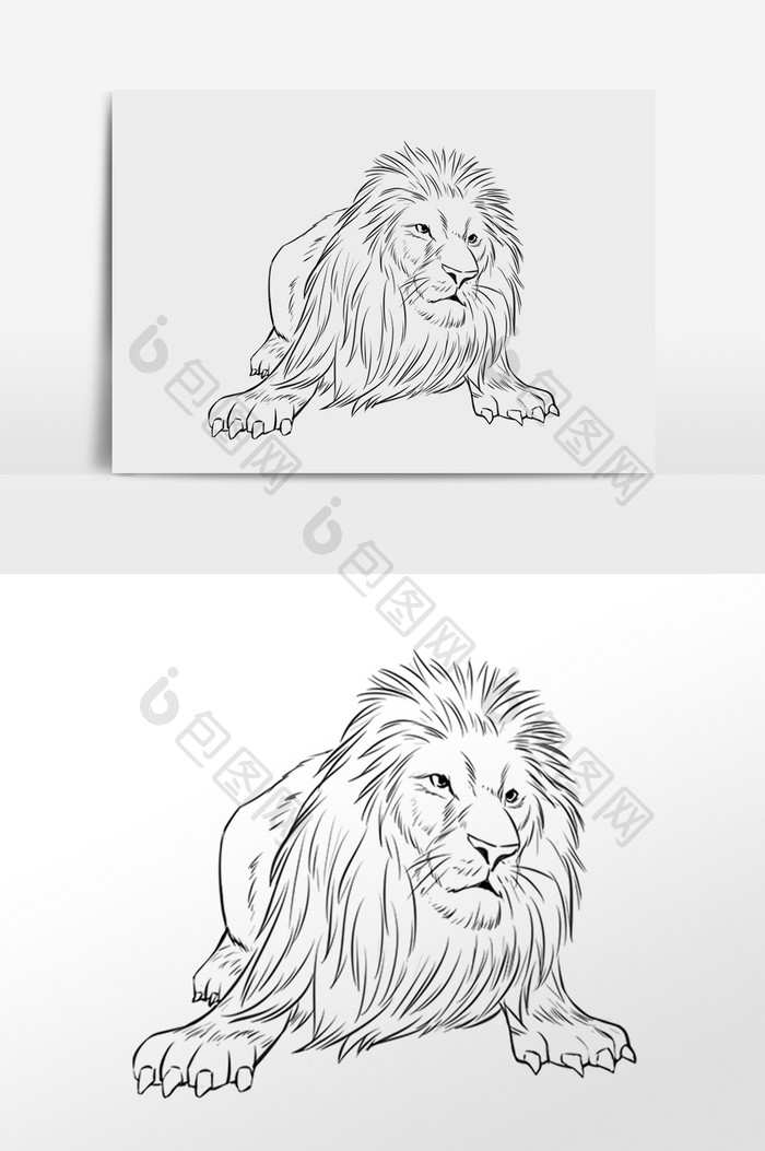 手绘线描线稿野生动物狮子插画