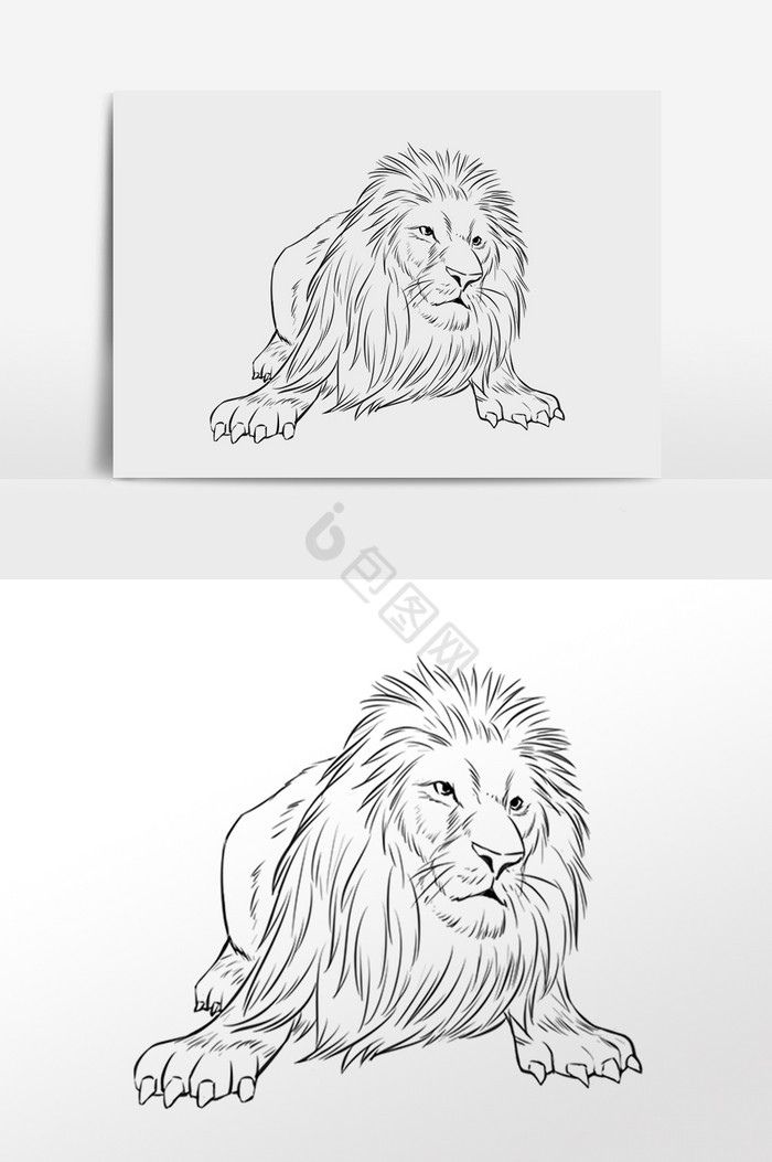线描线稿野生动物狮子插画图片