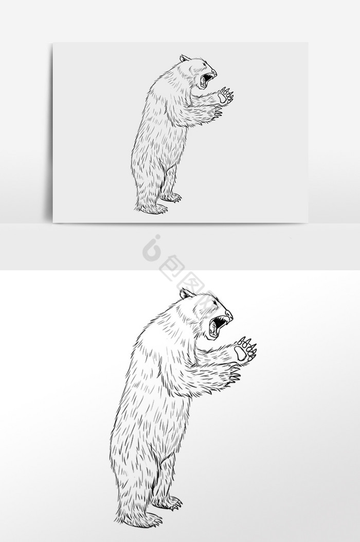 线描线稿野生动物狗熊插画图片