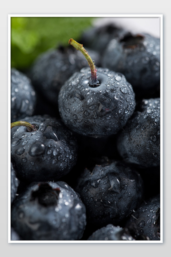 新鲜水果蓝莓特写摄影图