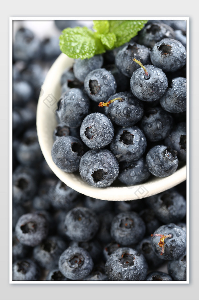 新鲜水果蓝莓摄影图片