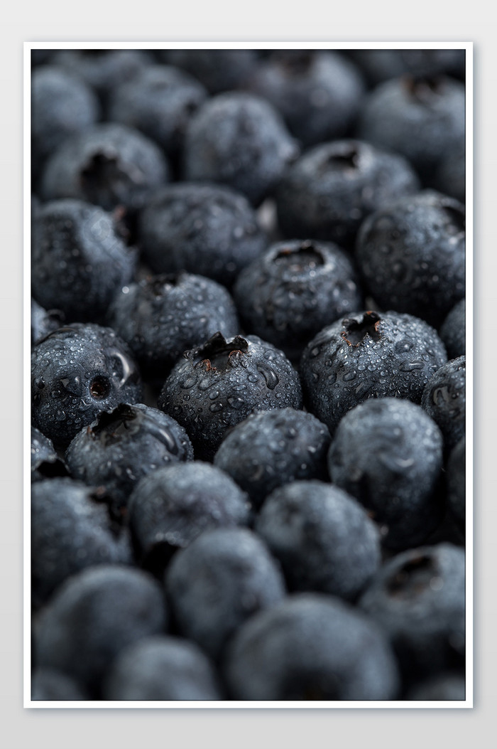 新鲜水果美食蓝莓摄影图片