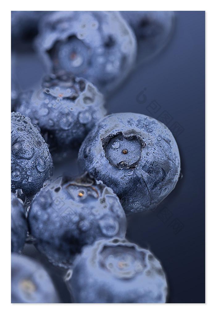 紫色蓝莓水果背景