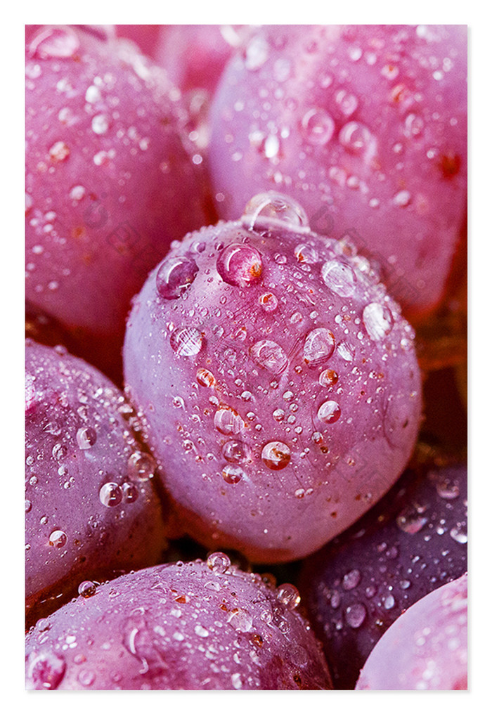 紫色葡萄水果果蔬背景