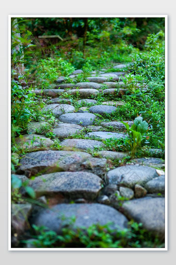 乡村休闲暑假旅游养生小道石子路