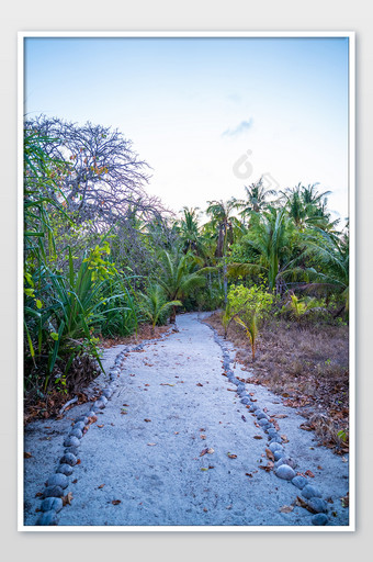 道路海岛小路旅行度假热带雨林摄影图图片