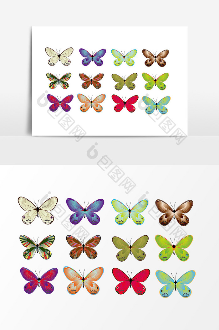 彩色蝴蝶昆虫标本设计元素