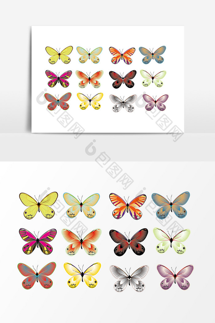 多种昆虫蝴蝶标本设计素材