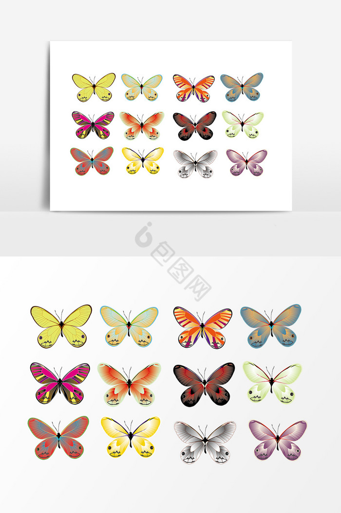 多种昆虫蝴蝶标本图片