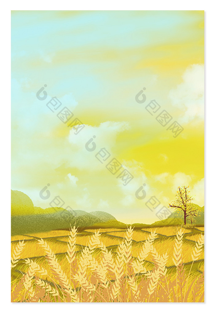 麦田黄色立秋金色树叶背景设计