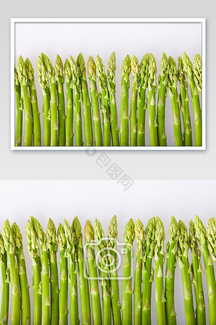 绿色芦笋新鲜一排蔬菜白底美食摄影图片