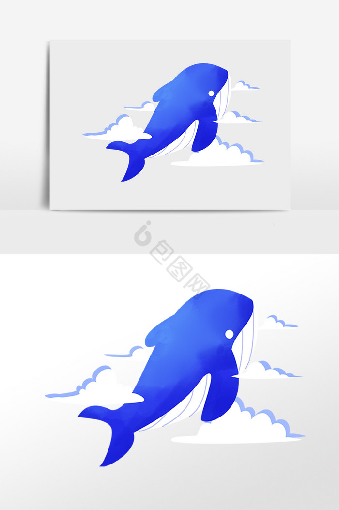 海鱼水生物大鲸鱼插画图片