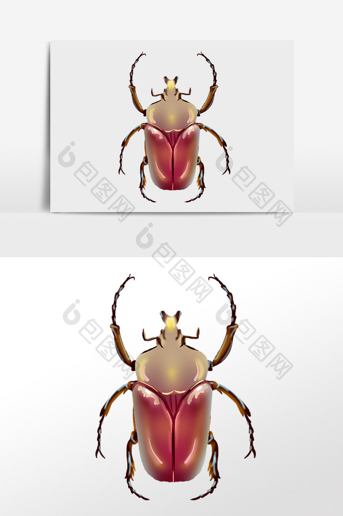 手绘卡通昆虫甲虫小动物插画