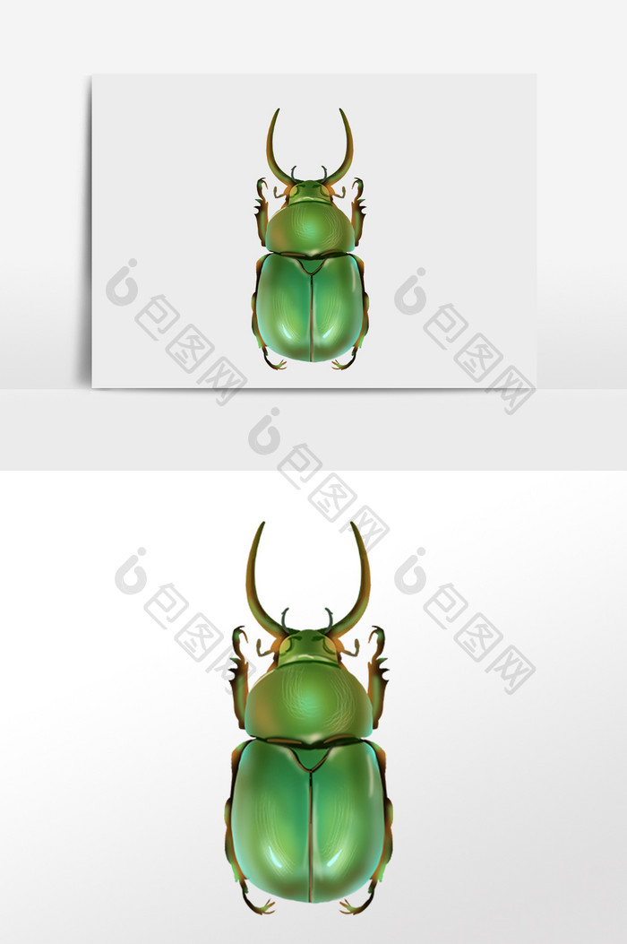 卡通昆虫甲虫动物插画
