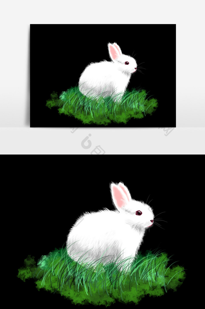 小白兔形象图片图片