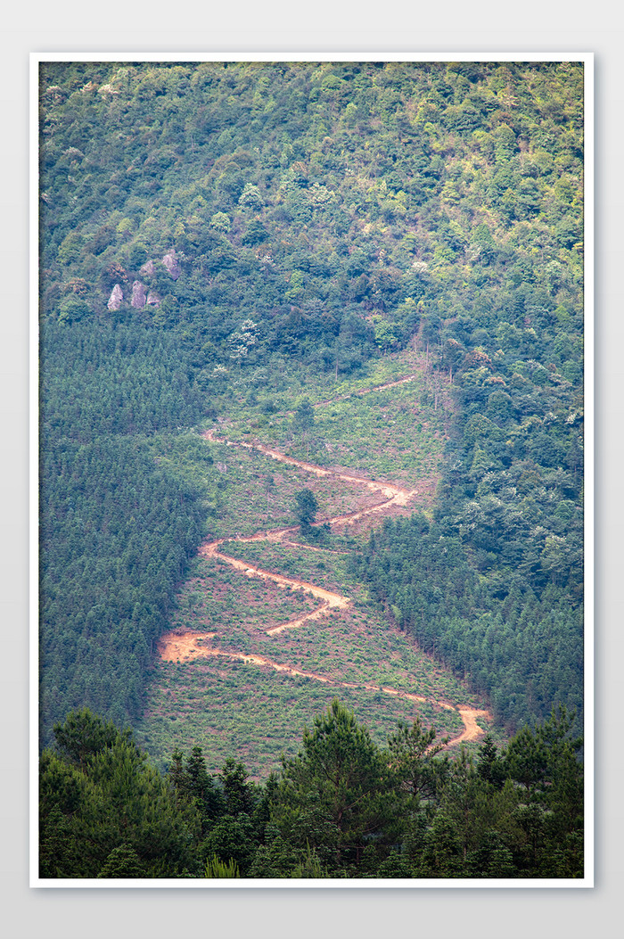 航拍深山景色山林小路松树林摄影图图片