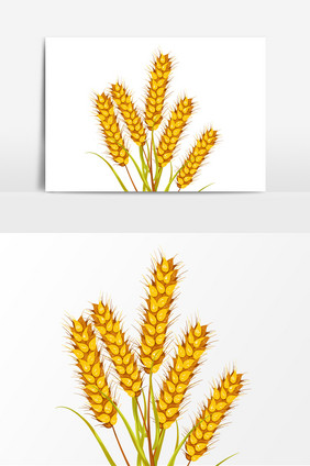 手绘金色的小麦丰收的粮食