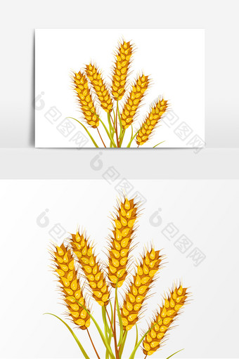 手绘金色的小麦丰收的粮食图片