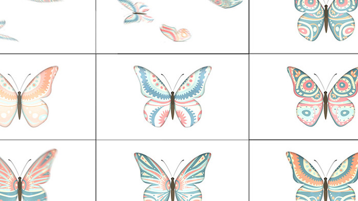 12组带通道彩绘蝴蝶飞舞视频素材
