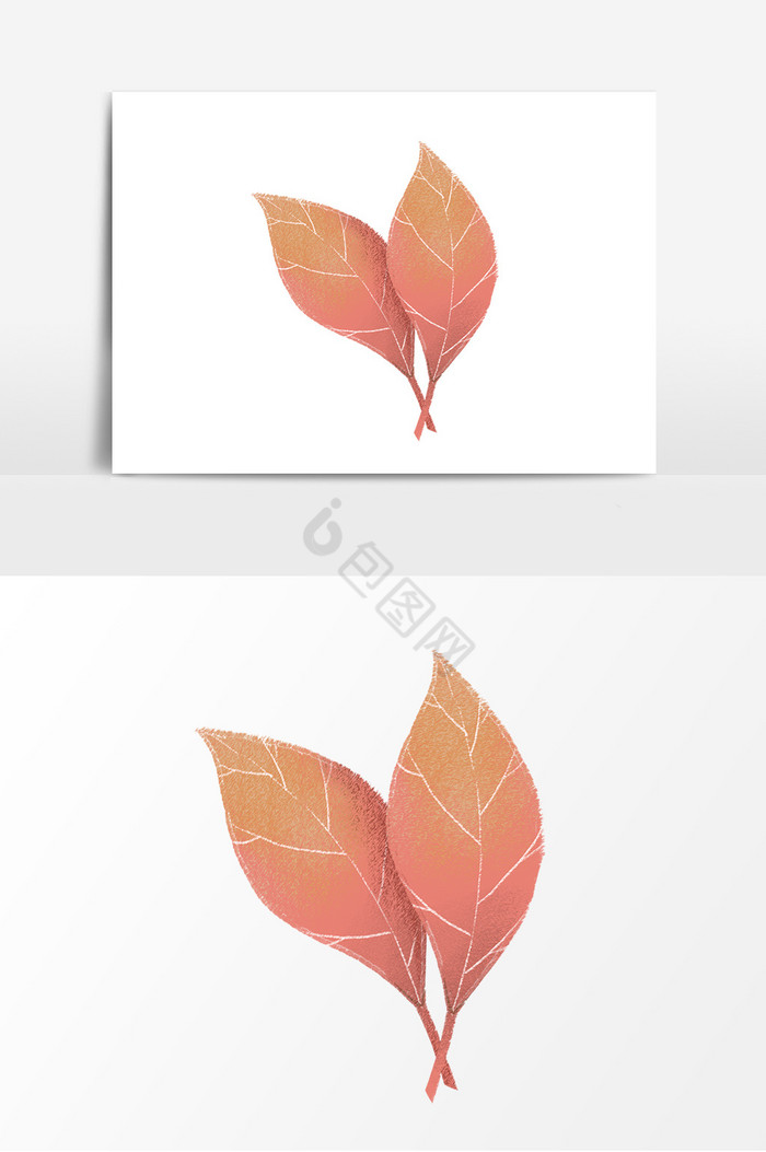 植物风装饰叶子图片