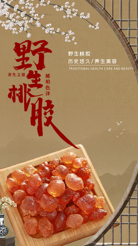 中国风野生桃胶养生美容养颜美食海报GIF