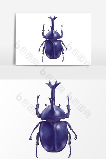 紫色昆虫独角仙元素图片