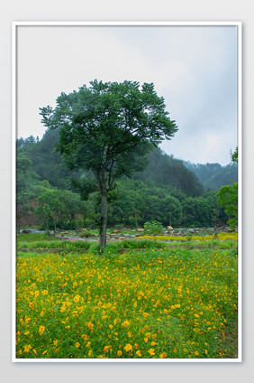 夏日雨季花园青山养生休闲小清新