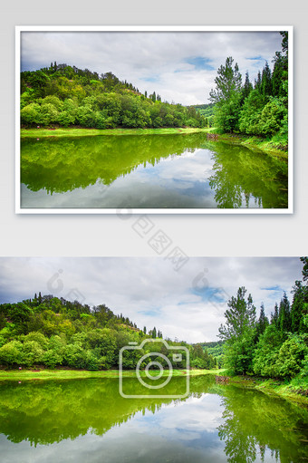 生态公园湿地森林湖泊图片