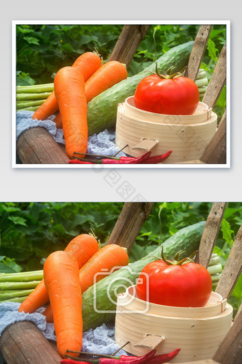 夏日时令蔬菜新鲜采摘蔬菜组合摄影图片