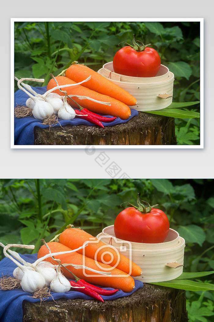 夏日新鲜采摘蔬菜组合摄影图片