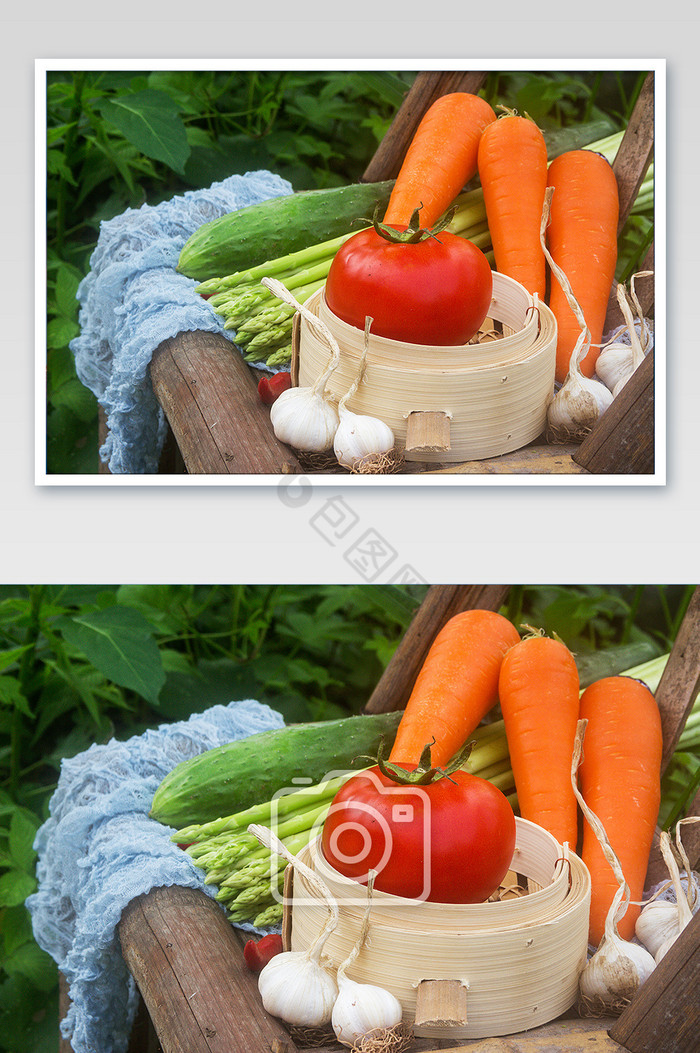 田野中新鲜采摘的蔬菜摄影图片