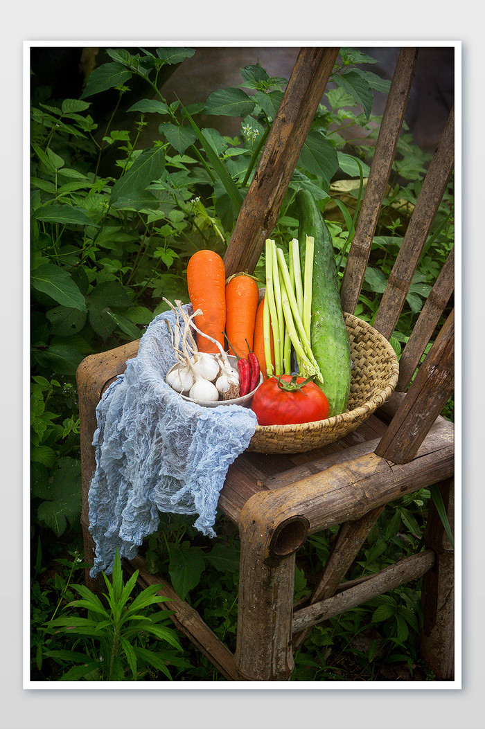 田野新鲜采摘的蔬菜摄影图片图片