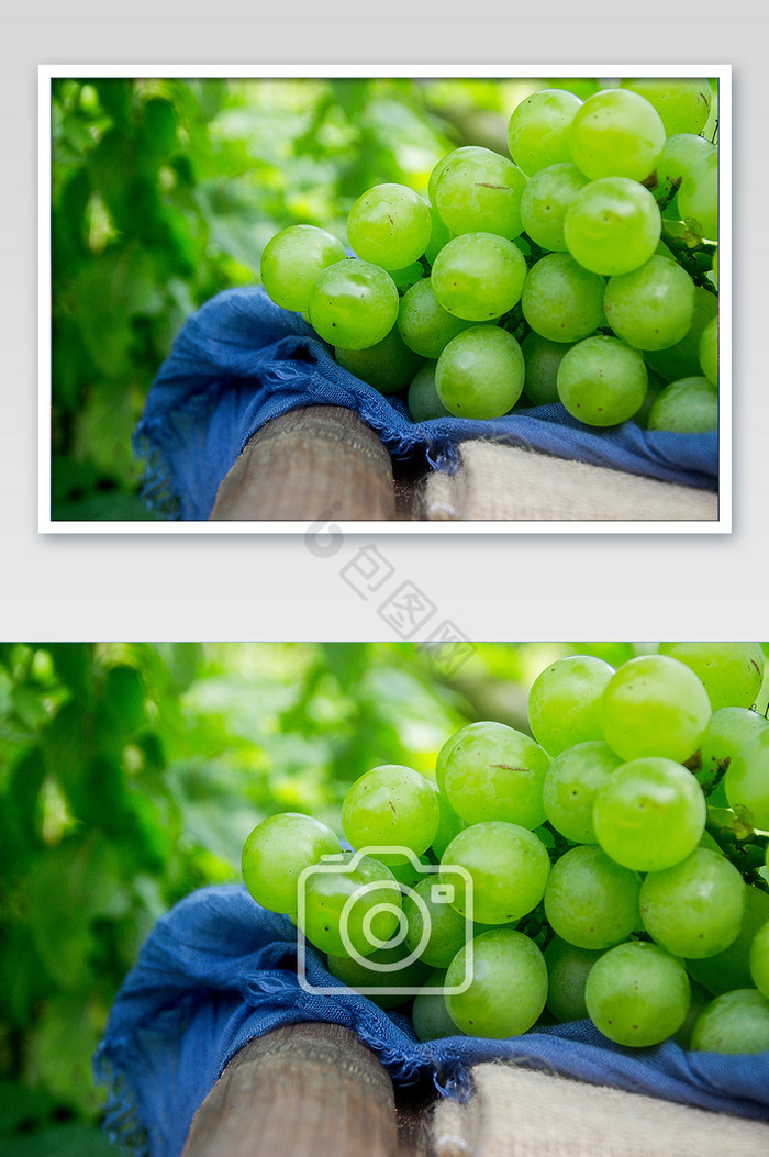 绿色新鲜水果葡萄特写摄影图图片