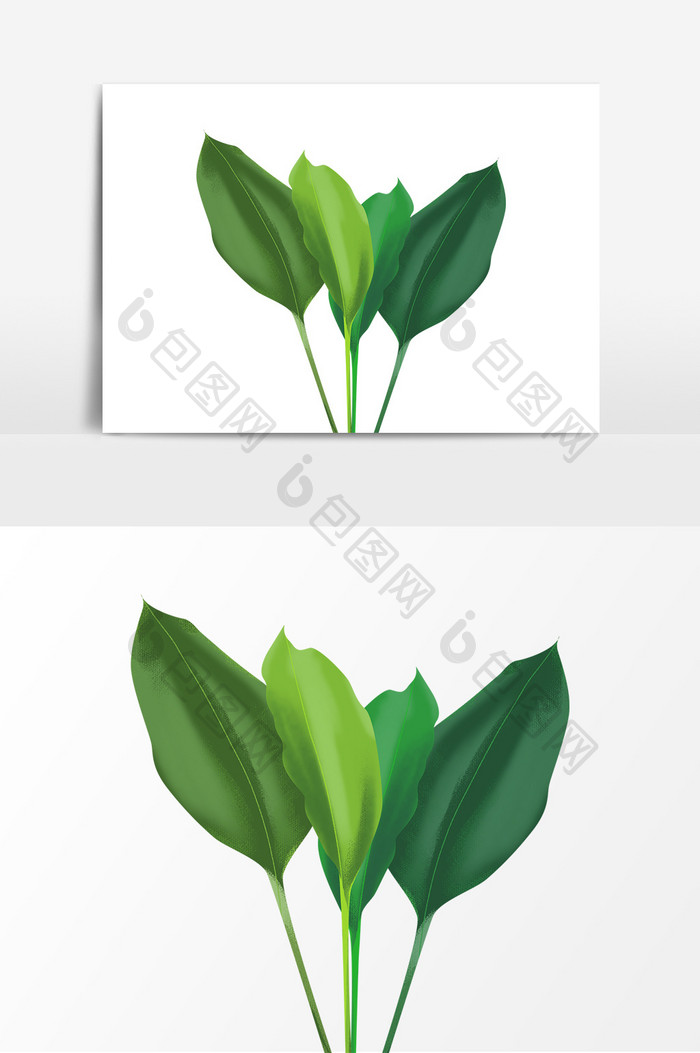 绿色插画手绘室内植物大叶子装饰元素