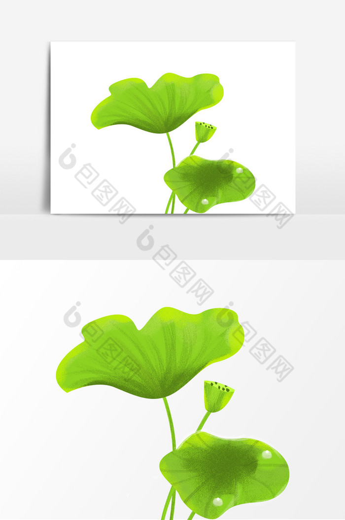 夏天插画荷叶绿植物装饰图片图片