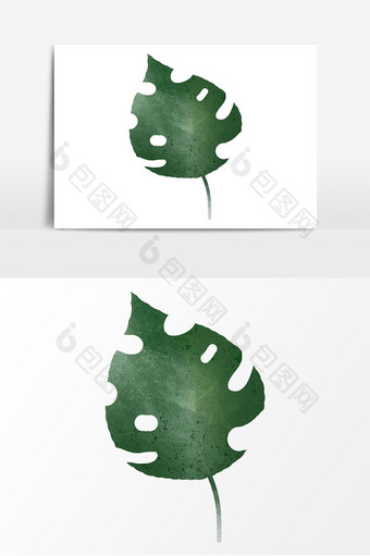 手绘水彩叶子龟背竹叶元素图片