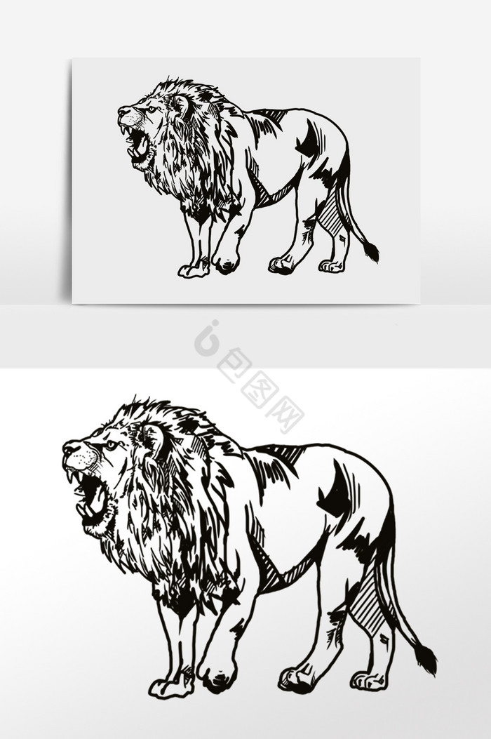 狮子插画