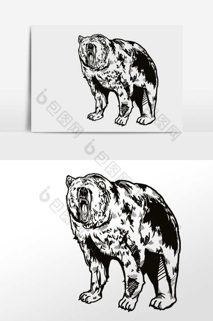 线描绘画野生动物狗熊插画图片