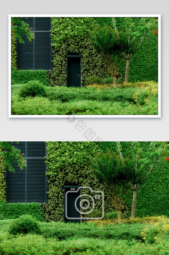 长满绿植的墙面只留有门窗建筑摄影图片