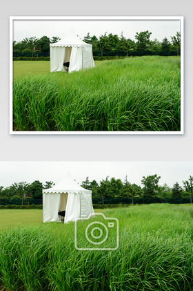 一片绿草从中的一顶帐篷风光片
