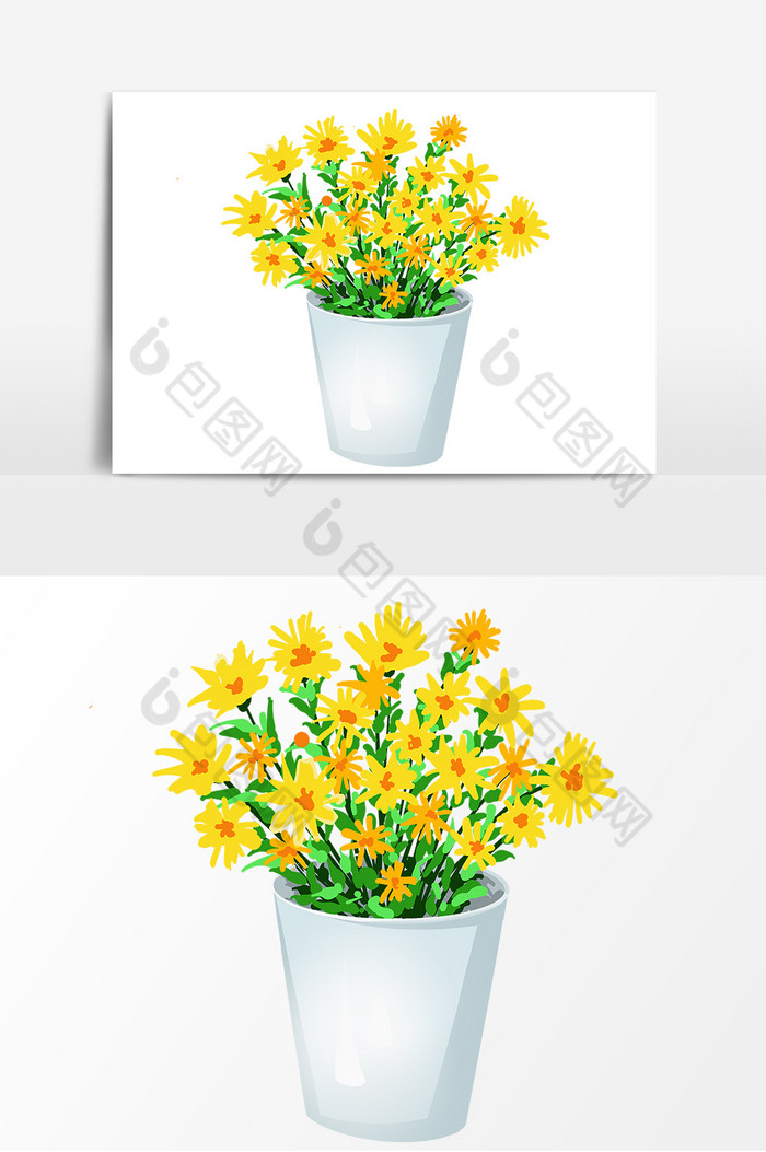花朵植物盆景图片图片