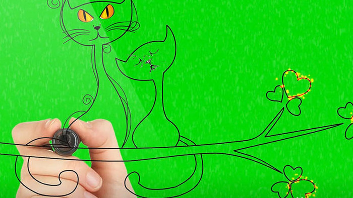 手绘猫咪绿幕扣屏表情火焰动态素材