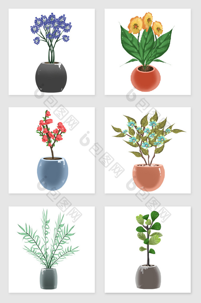 盆栽花卉植物图片图片