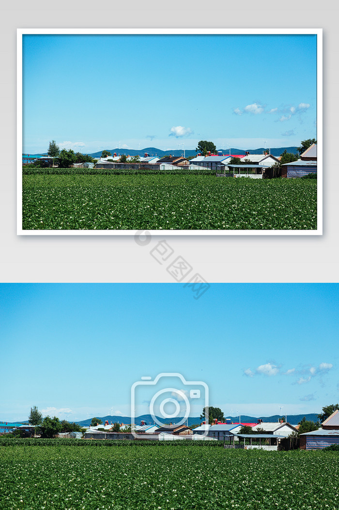 夏日蓝天白云下北方村庄高清摄影图图片