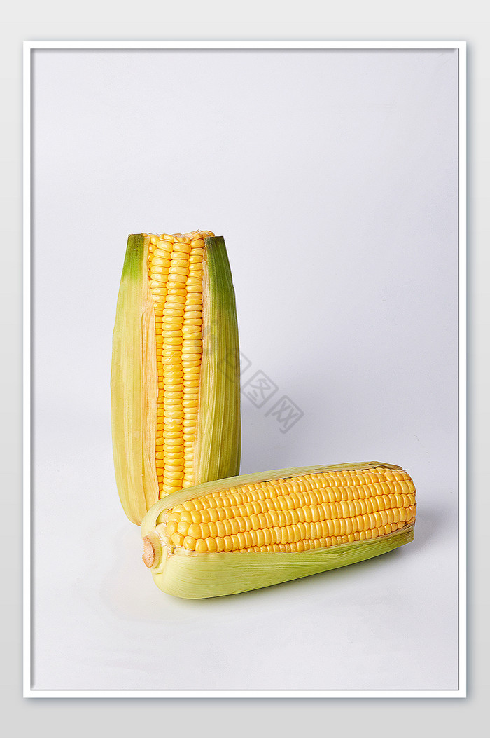 玉米棒新鲜白底蔬菜片图片