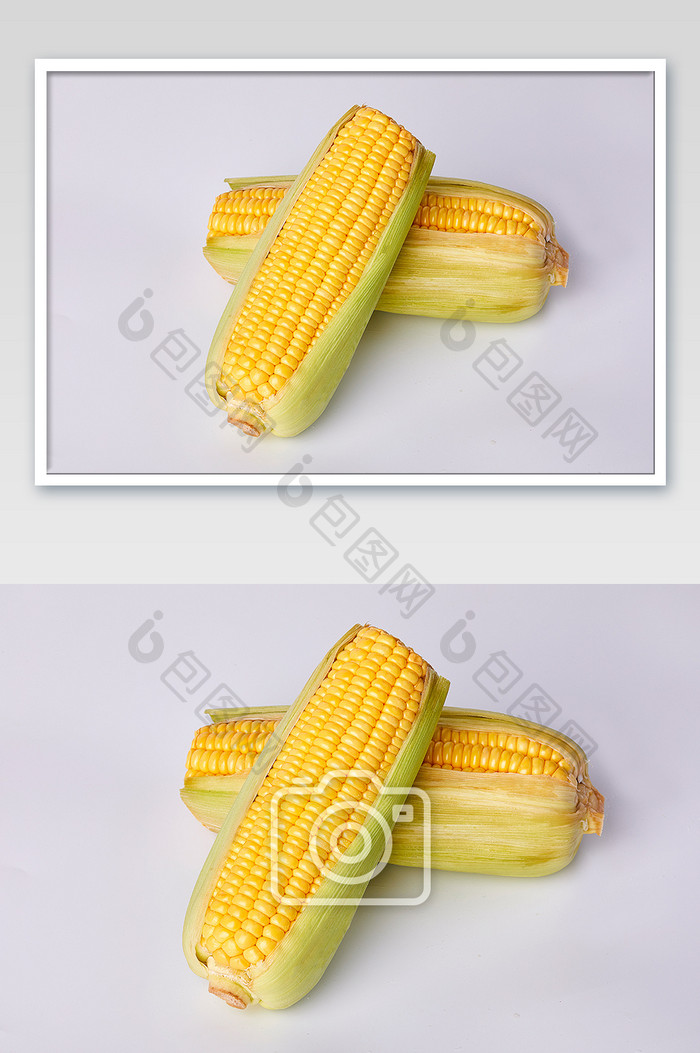 黄色玉米棒新鲜蔬菜白底美食摄影图片