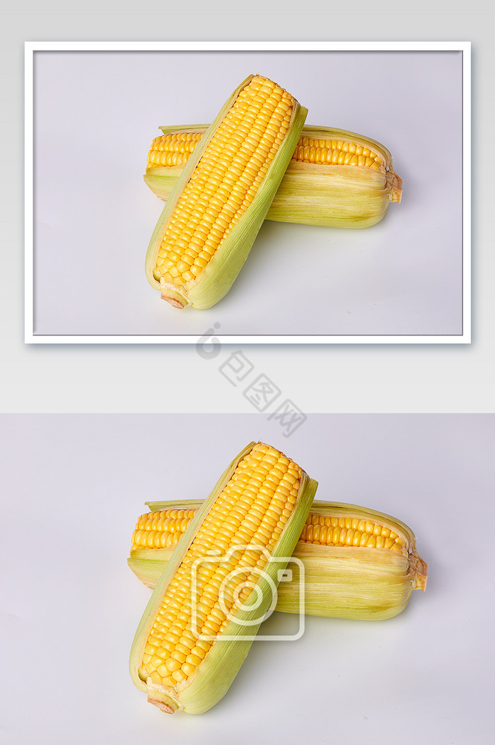 玉米棒新鲜蔬菜白底片图片