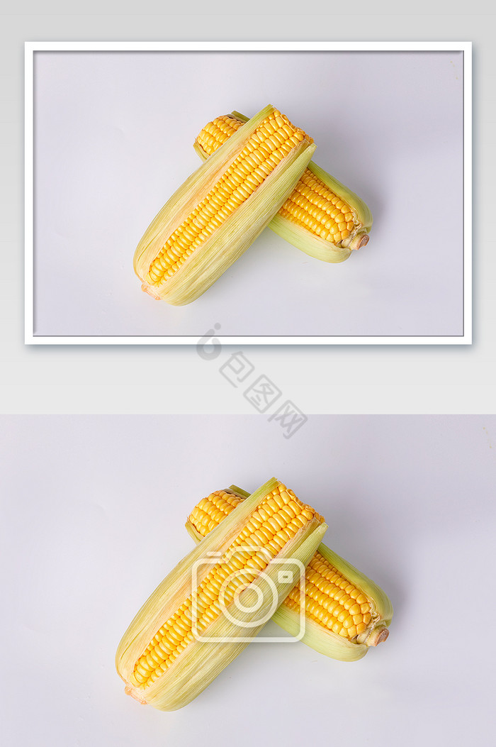 玉米棒新鲜果实蔬菜片图片