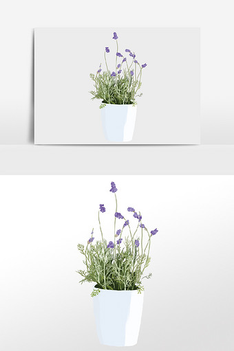 紫色水仙花花卉盆栽元素图片